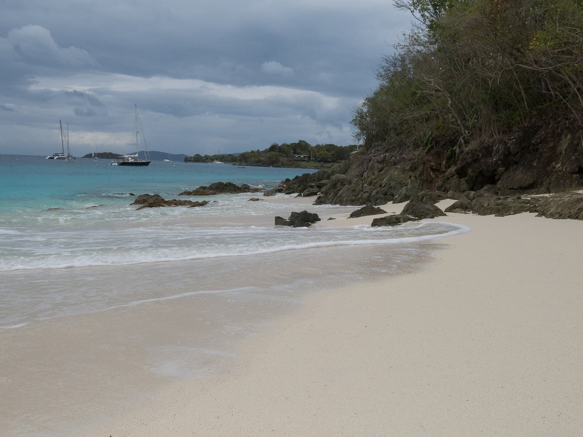 Palm trees and calm turquoise water at Honeymoon Beach on St. John